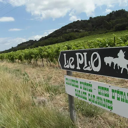 Bergerie Du Plo Montlaur (Aude)
