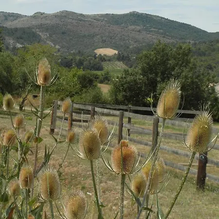 Bergerie Du Plo