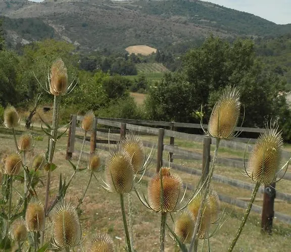 Bergerie Du Plo