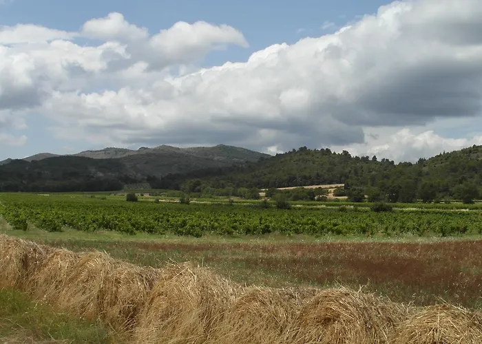 Bergerie Du Plo